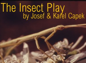 InsectPlay