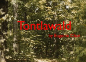 Tontlavald