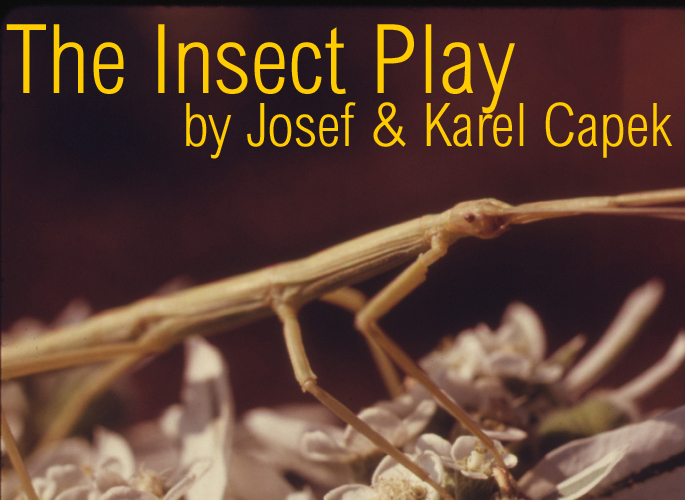 InsectPlay